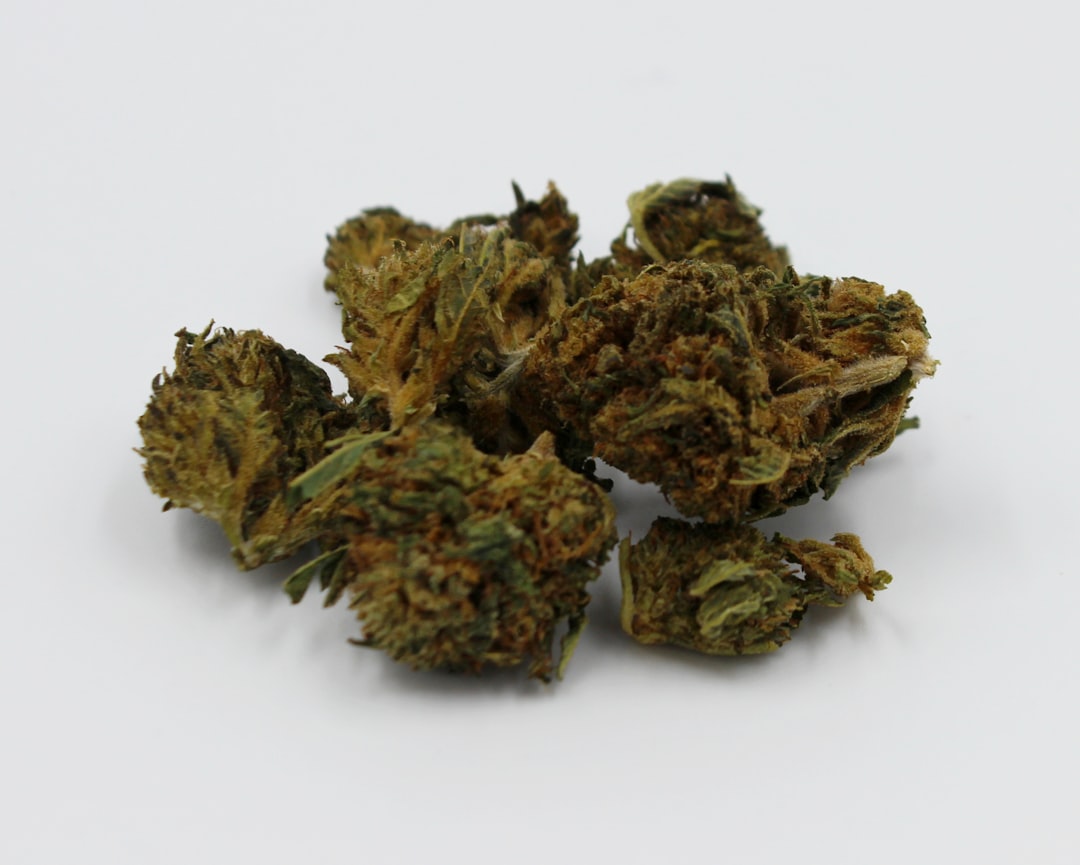 Photo Cannabis buds
